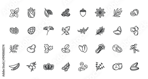 Herb and Spice Icons Line Art Set — Hand Drawn Leaves, Seeds and Nuts Illustrations