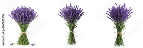 Lavender bouquet isolated on white background, Lavandula angustifolia, purple lavender stems, dried lavender bouquet, floral arrangement, rustic bouquet, florist lavender, aromatherapy flowers, stock 
