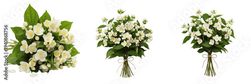 Fényképezés Jasmine bouquet isolated on white background, Jasminum spp, Arabian jasmine, com
