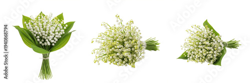 Foto Lily of the valley bouquet isolated on white background, Convallaria majalis, sm