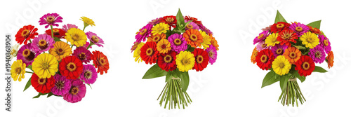 Tableau sur toile Zinnia bouquet isolated on white background, Zinnia elegans, colorful zinnias, r