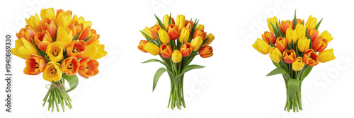 Yellow and orange tulips bouquet isolated on white background, Tulipa spp, yellow tulips, orange tulips, spring floral bouquet, cut flower arrangement, florist bouquet, florist photography