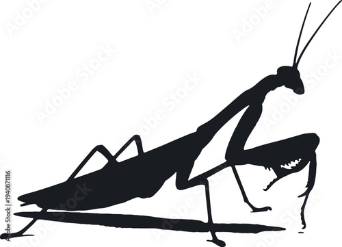 Illustration of black silhouette of a praying mantis insect