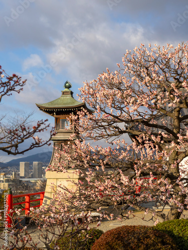 梅の花と常夜灯