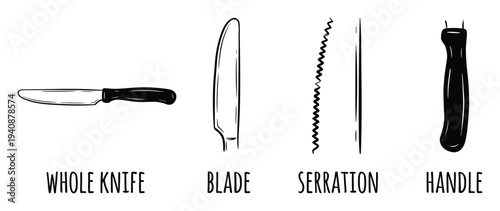 Knife anatomy illustration, including whole knife, blade, serration, and handle, isolated in black and white vector drawing.