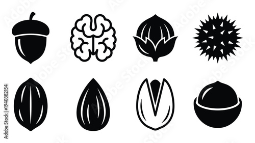 Variety of Nut Icons Vector Set: Acorn, Walnut, Cotton, Chestnut, Peanut, Almond, Pistachio, Macadamia