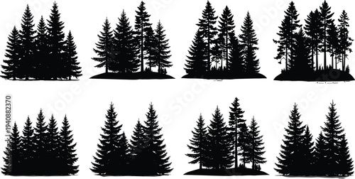 Evergreen forest silhouette collection with pine and spruce trees in natural woodland groups isolated