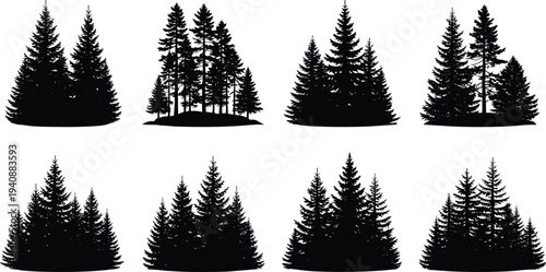 Pine forest silhouettes collection with evergreen trees grouped in woodland shapes isolated on white