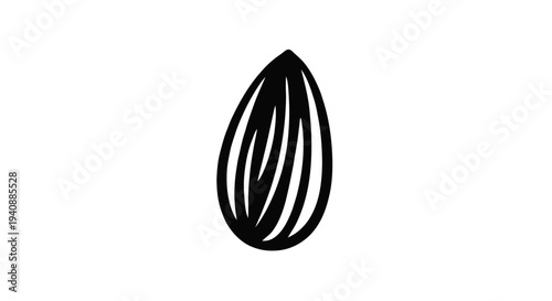 Vector illustration of almond nut icon on a transparent background