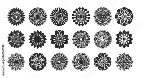Vector illustration of set of decorative circular floral mandala ornaments on a transparent background