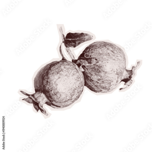 Pomegranate halftone collage sticker isolated on white background. Two ripe pomegranates with leaves in dotted retro texture, cut out style. Grayscale scrapbook element for y2k nostalgia.