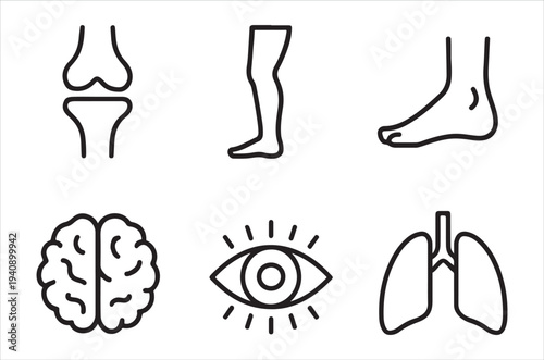 Line art depiction of human anatomy including organs and limbs