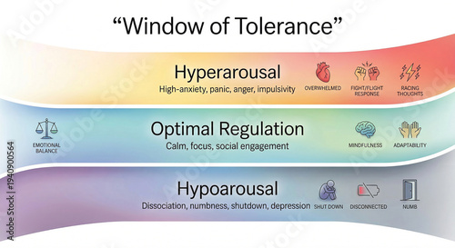 Window of Tolerance Emotional Regulation Hyperarousal and Hypoarousal Diagram