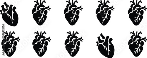 Human, heart, anatomy, medical, icons, set, including, cardiovascular, organ, biology, healthcare, cardiology, circulation, anatomy, health, science, silhouette, symbol, illustration, collection