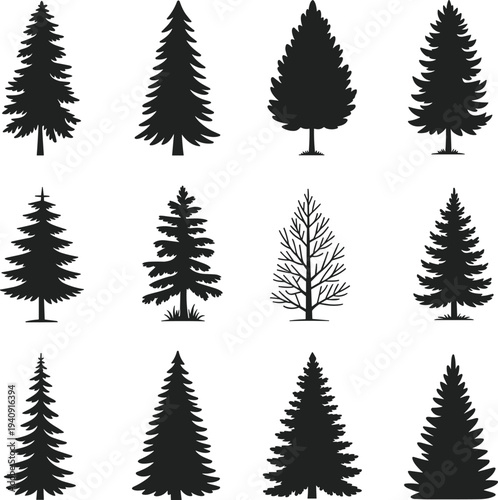 Pine tree silhouettes collection, evergreen forest conifer trees isolated black nature shapes vector illustration set