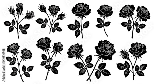 Elegant Black Rose Silhouettes - A Collection of Floral Designs.