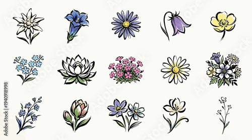 A collection of 15 hand-drawn watercolor illustrations of various delicate wildflowers and blossoms, presented in a grid format.
