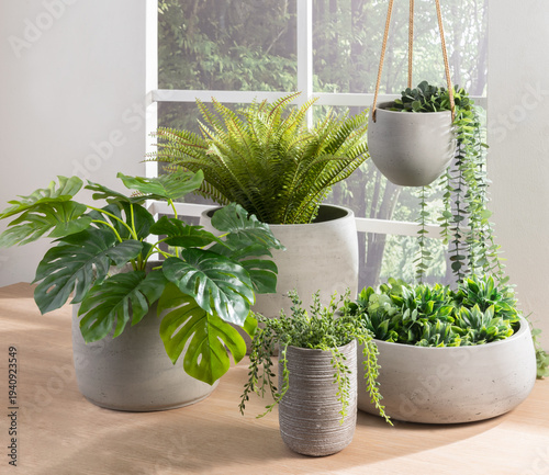 Indoor Greenery Displayed in Varied Concrete Pots Monstera, Fern, Hanging Succulent Cascade, Set on Wooden Table, Adjacent to a Window with Forested View, Nature Indoors, Illuminated by Natural Light.