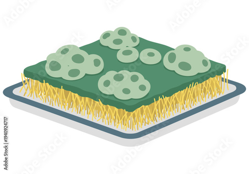 Illustrates tissue engineering with a cell scaffold. A green matrix supports small, circular cells, showcasing a modern, scientific concept. Clean, flat design.
