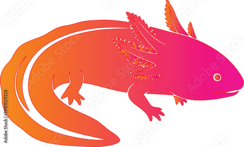 Vibrant Pink and Orange Gradient Axolotl Vector Illustration, Stylized Mexican Salamander