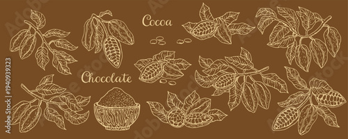 Cocoa pods set in sketch style. Ink engraving cacao fruits, plants and branches on brown background.