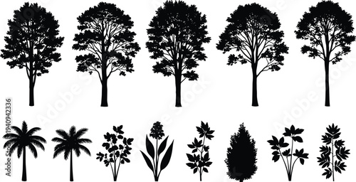 Collection of tree and plant silhouettes set, various forest trees, palms and shrubs black icons isolated on light background, botanical nature design elements