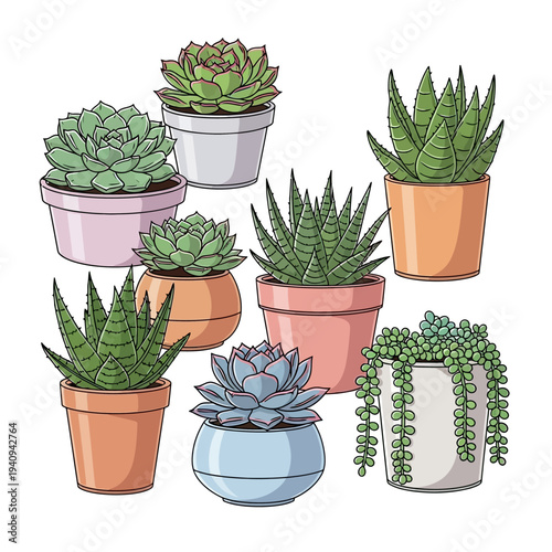 A vibrant collection of various potted succulent plants, including rosettes, aloe, and string of pearls, in different colored containers.