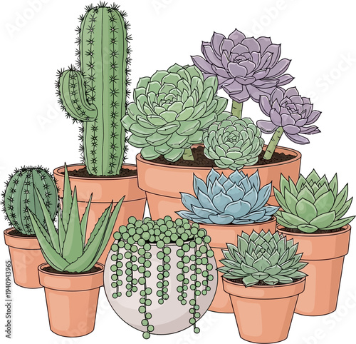 A vibrant collection of various potted succulents and cacti, showcasing different shapes, sizes, and shades of green, purple, and blue plants in terracotta and white pots.