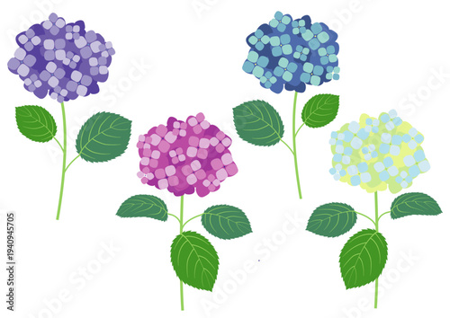 シンプルでかわいい色違いの紫陽花のセット