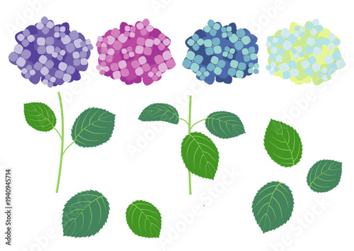 シンプルでかわいい色違いの紫陽花のセット