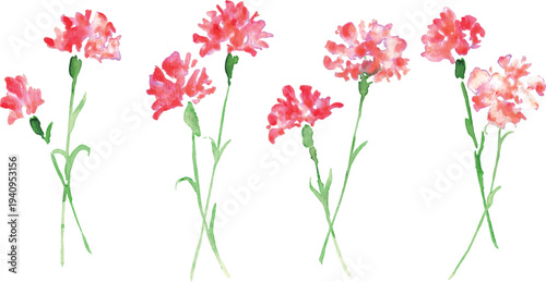 水彩画。水彩タッチのカーネーションベクターイラスト。母の日のカーネーション背景。
Watercolor painting. Watercolor carnation vector illustration. Carnation background for Mother's Day.