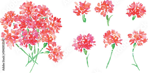 水彩画。水彩タッチのカーネーションベクターイラスト。母の日のカーネーション背景。
Watercolor painting. Watercolor carnation vector illustration. Carnation background for Mother's Day.