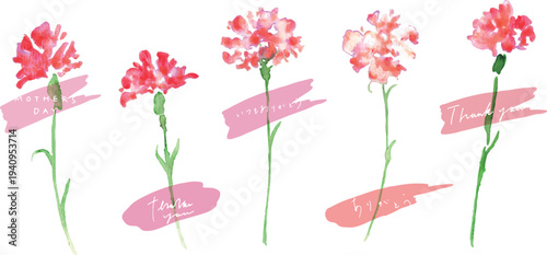 水彩画。水彩タッチのカーネーションベクターイラスト。母の日のカーネーション背景。
Watercolor painting. Watercolor carnation vector illustration. Carnation background for Mother's Day.