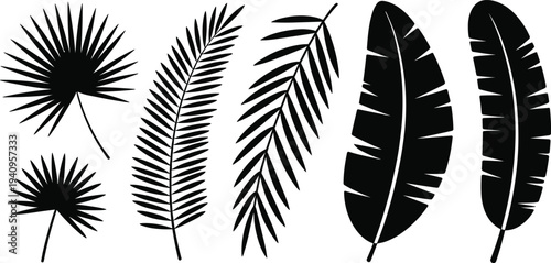 Tropical leaves silhouette set, palm leaf vector, banana leaf shapes, botanical foliage collection, jungle plant illustration isolated on white