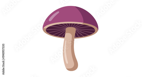 A single large mushroom with a curved tan stem and a smooth purple cap featuring dark gills underneath is on a solid white background.