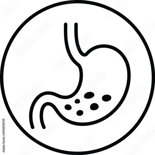 Stomach digestion line icon, human digestive system symbol, gastric health medical illustration, gastroenterology concept for healthcare, medicine, anatomy education