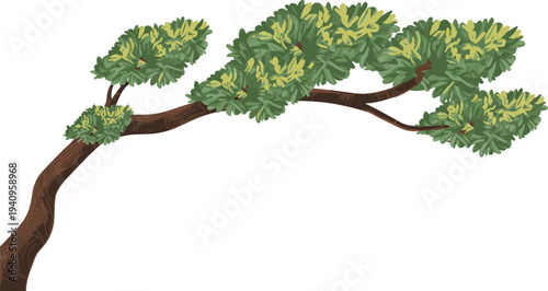 Stylized pine tree branch illustration, with lush green needles, natural forest element, botanical design, isolated on white background, nature vector
