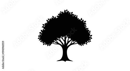 Silhouette of a deciduous tree against a white background for design use