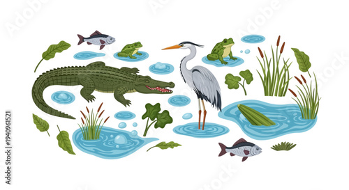 Top view illustration of a wildlife scene with a crocodile, heron, fish, and plants in a serene aquatic environment, set against a clean white background.