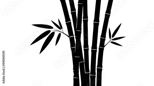 Black bamboo plants silhouette against a white background for design and decor