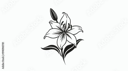 Elegant black and white lily flower illustration against white background