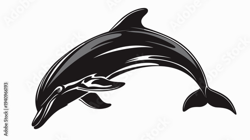 Stylized black and white dolphin illustration vector design on a white backdrop