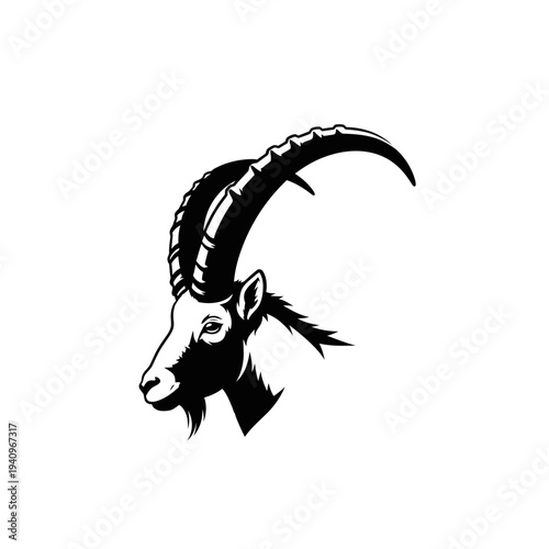 Profile of a black and white ibex with large, curved horns