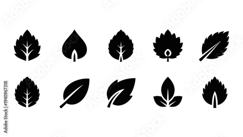 Set of stylized black leaf icons for nature and environmental designs