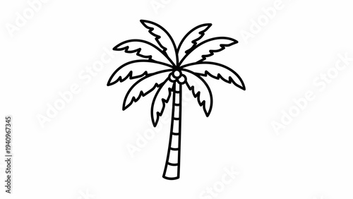 Outlined palm tree illustration against white background for design elements