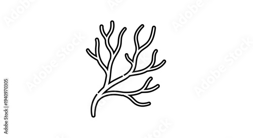 Abstract Branching Coral or Seaweed Silhouette on White Background