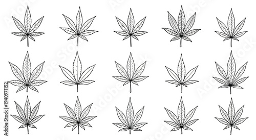 Collection of cannabis leaves in a simple black and white illustration