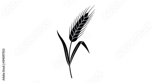 A simple black silhouette of a wheat stalk against a white background