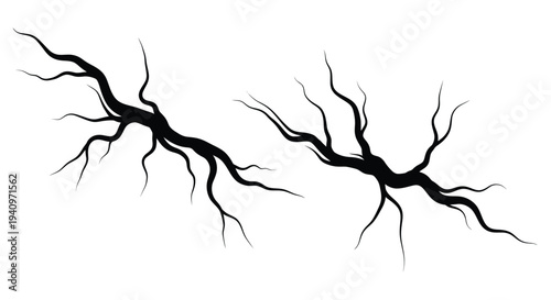 Abstract depiction of dark twisting branches against a white background
