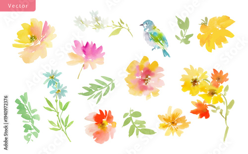 Watercolor vector floral clipart set with abstract hand painted bright wild flowers and blue little bird for greeting card, stationary and surface design.